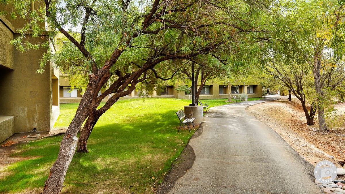 A serene pathway lined with lush green grass and trees in a park setting.