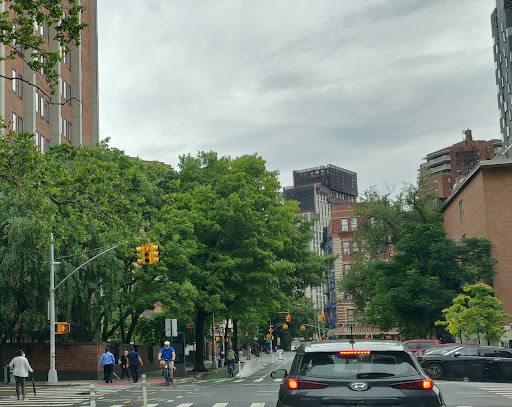 A view of a city street on an overcast day, showcasing greenery and traffic.