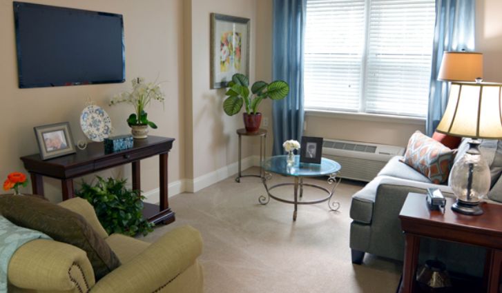 A cozy living room with modern furniture and decorative plants, featuring a glass coffee table and a large window with blue curtains.