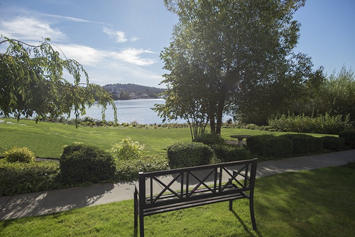 A tranquil lakeside scene with a bench overlooking the water and surrounded by lush greenery.