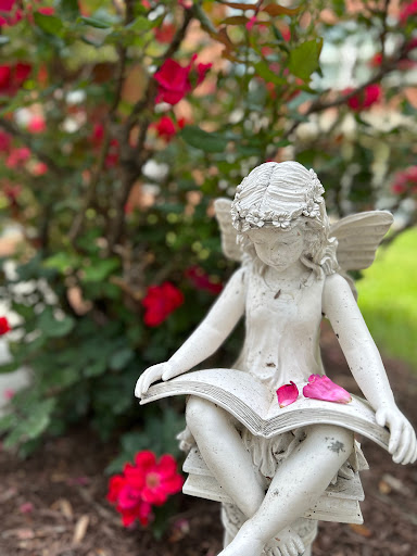 A delicate fairy statue reading a book, surrounded by vibrant red flowers in a serene garden setting.