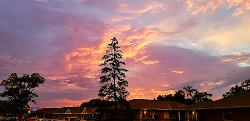 A breathtaking sunset casts vibrant colors across the sky, silhouetting a tall tree.