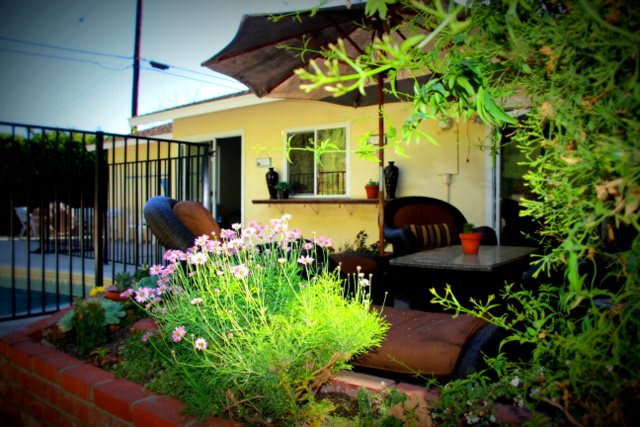 A cozy patio garden with lush greenery and comfortable outdoor seating.