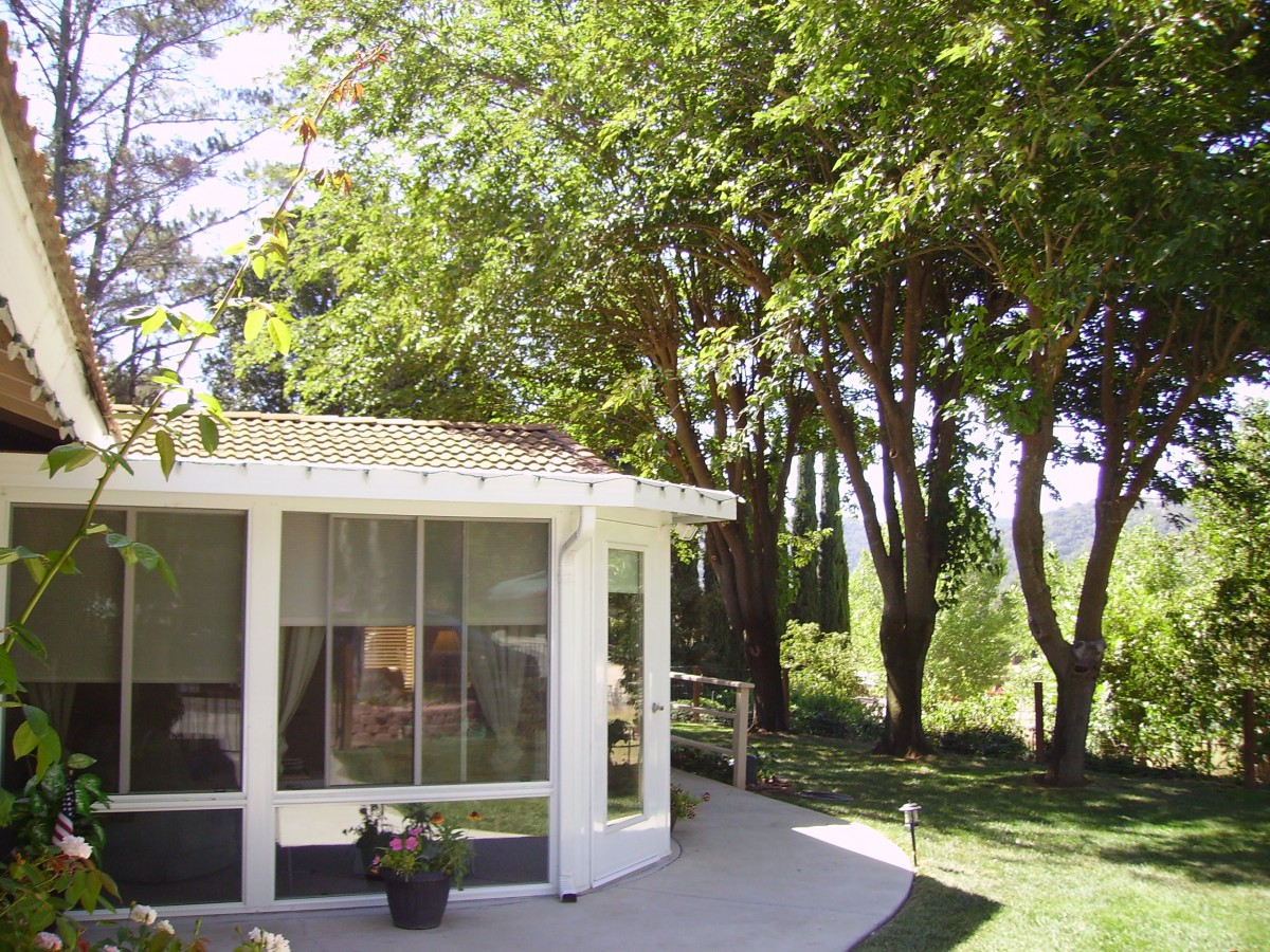 A tranquil sunroom surrounded by lush trees and greenery.