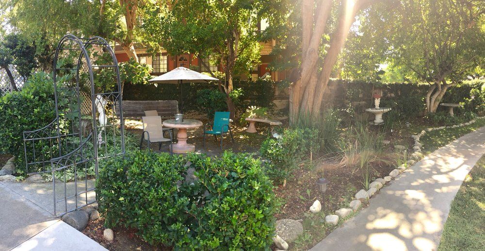 A serene garden setting with patio furniture and sunlight filtering through the trees.