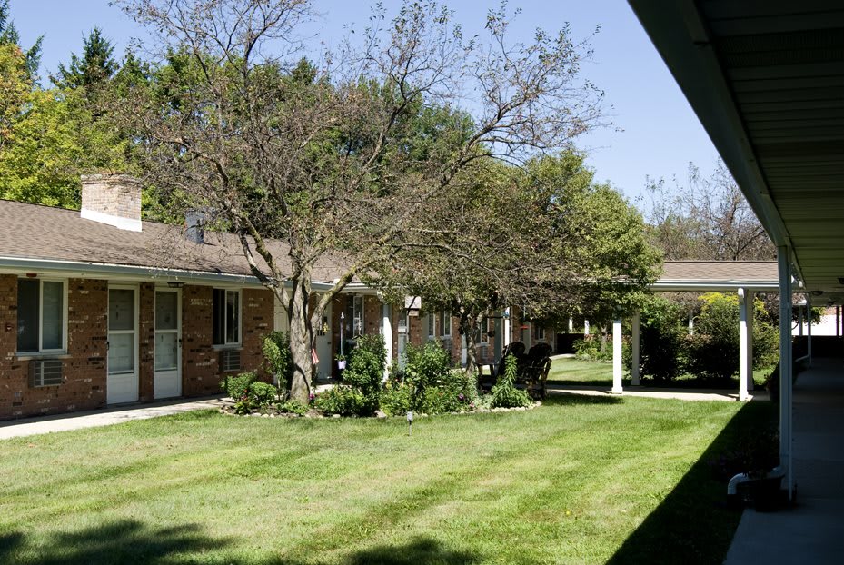 Maple Vista