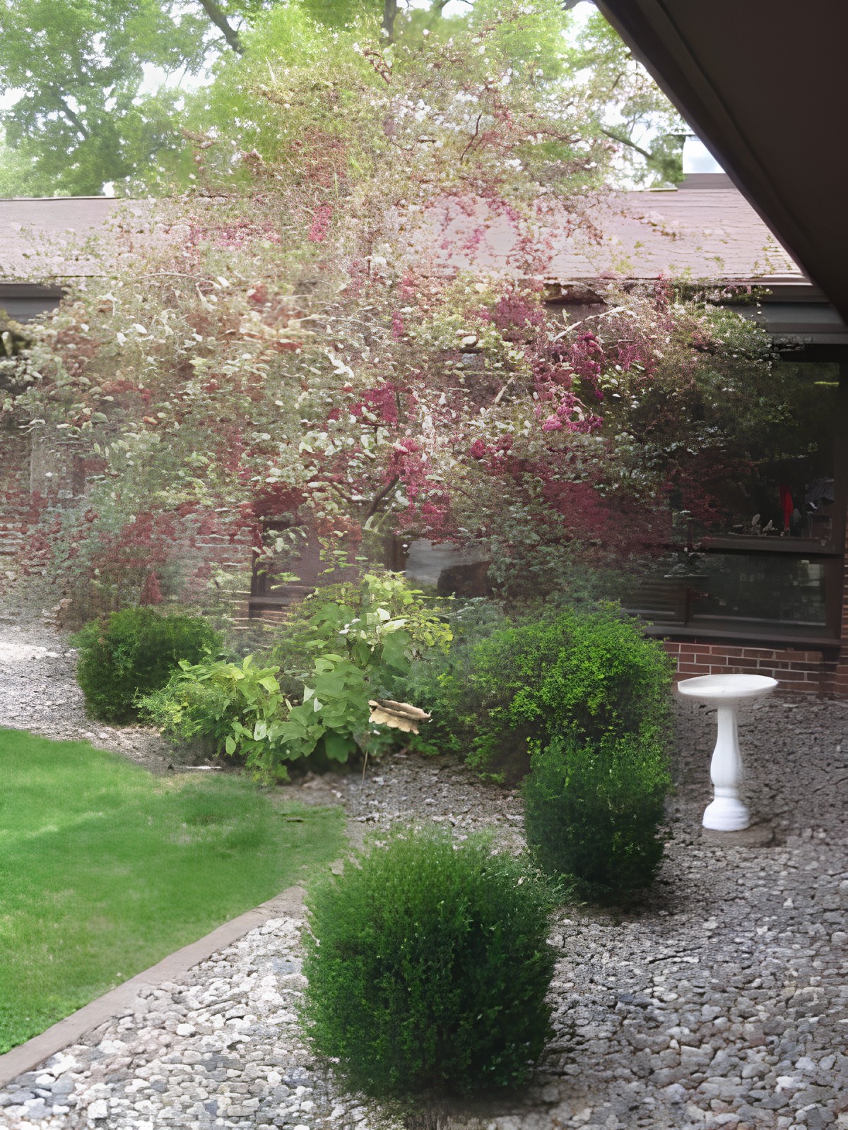 A well-maintained garden featuring neatly trimmed bushes, a tree with colorful foliage, and a birdbath.