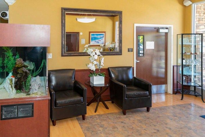 A cozy waiting room with leather chairs, a mirror, decorative plants, and an aquarium.