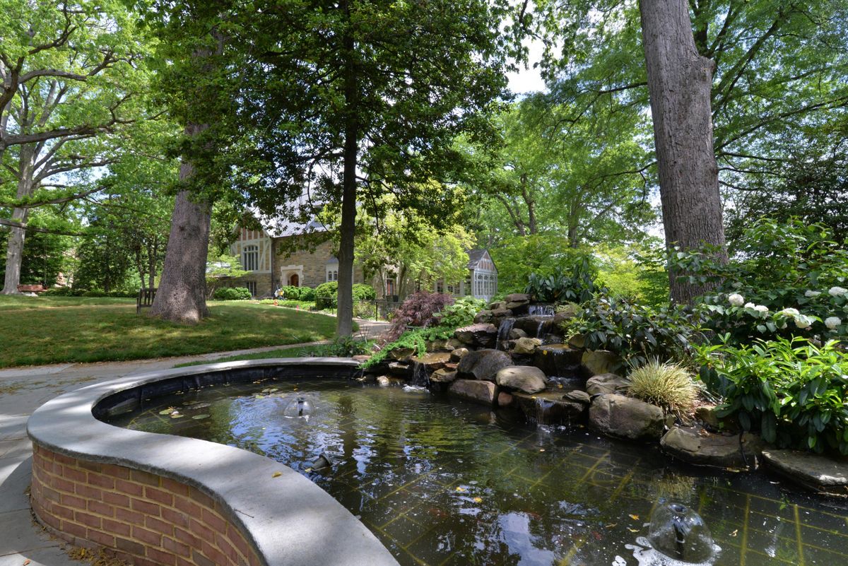 A serene garden with a tranquil pond surrounded by lush trees and greenery.