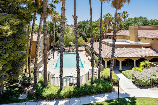 A sunny day at a residential apartment complex featuring a swimming pool surrounded by palm trees.