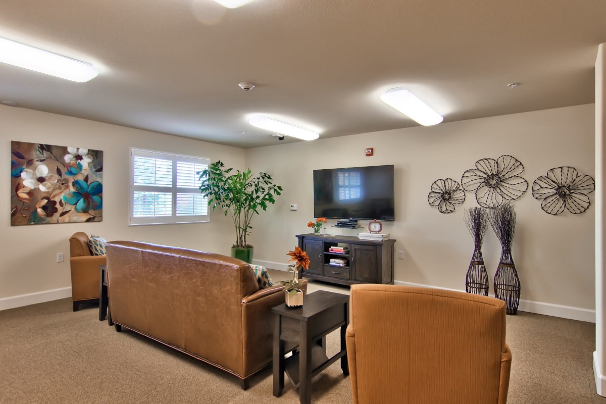 A cozy living room with sofas facing a television, decorated with wall art and an indoor plant.