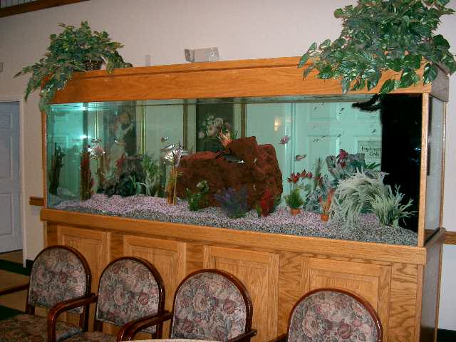 An indoor waiting area featuring a large fish tank and a row of chairs.