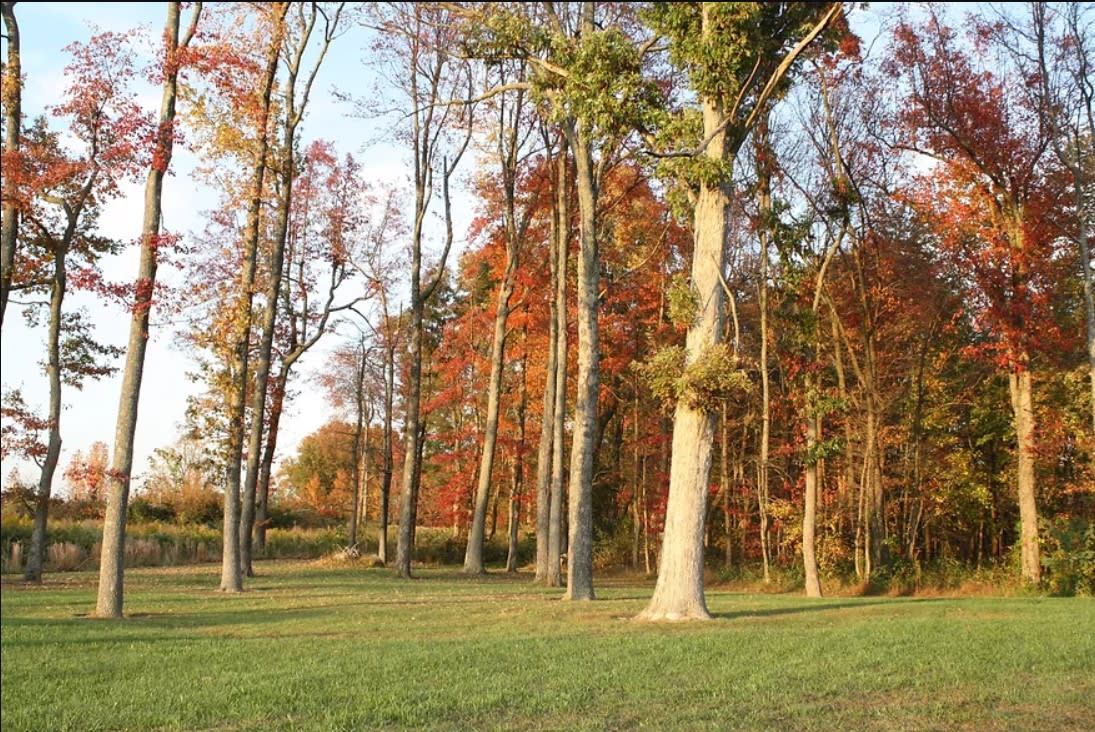 Stonecrest Assisted Living Facility