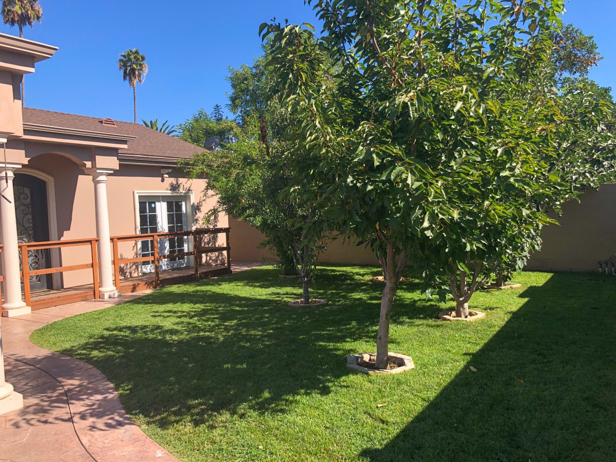 Sweet Home Senior Living #1