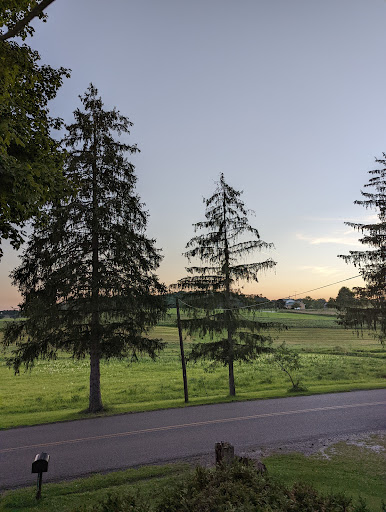 A serene view of a grassy field framed by tall trees during sunset.
