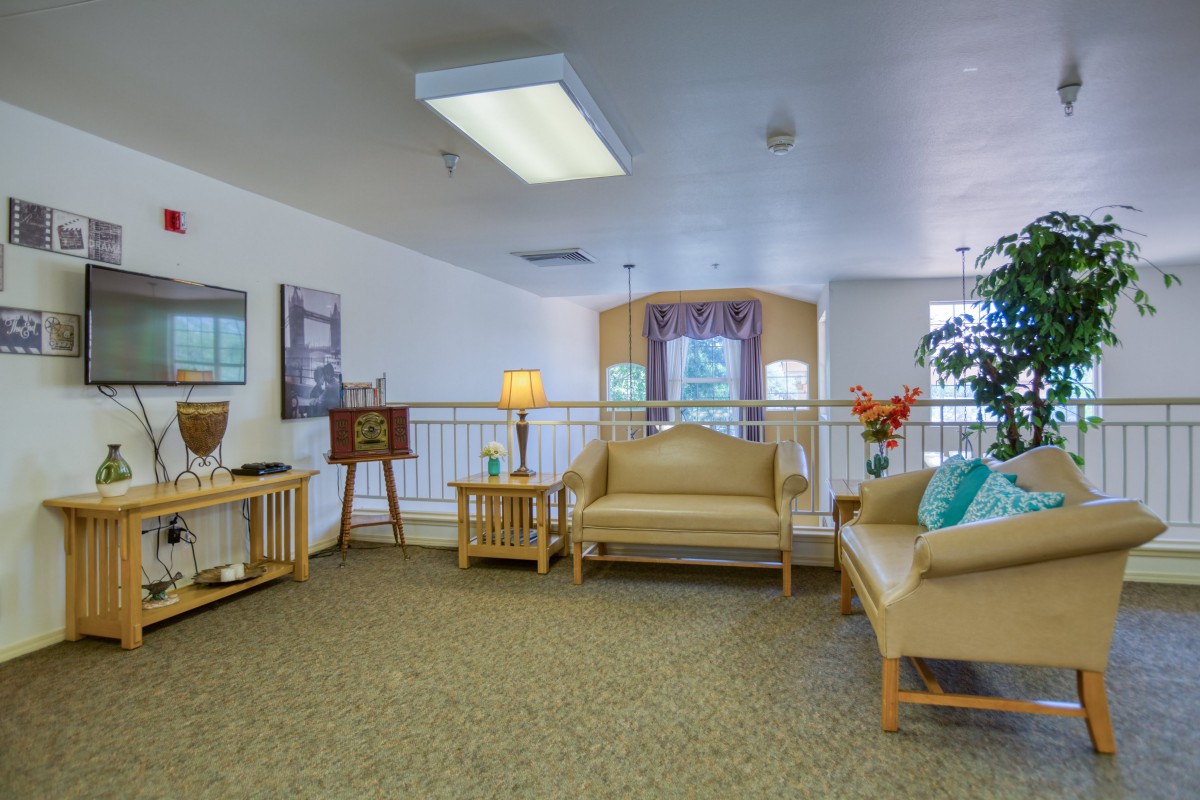 A cozy living room with sofas, a lamp, and decorative elements.