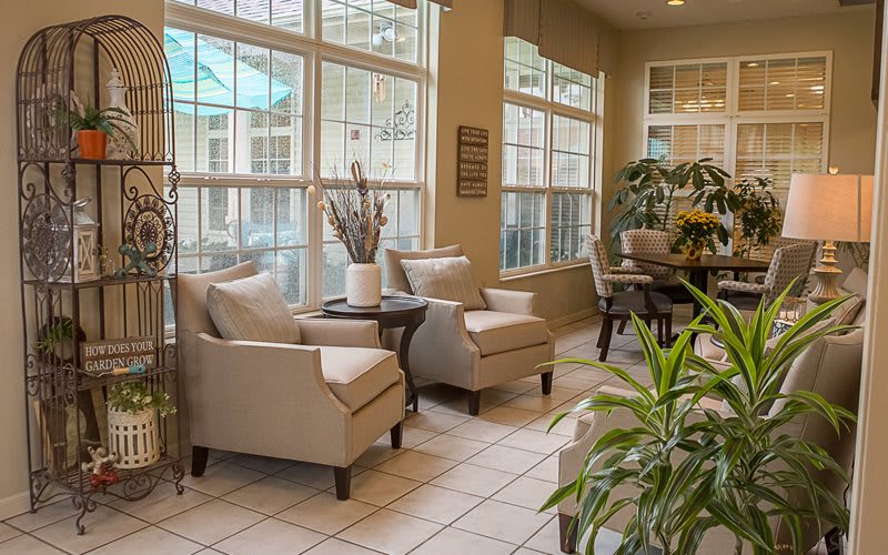 A cozy living area with comfortable chairs, a small table, and lush indoor plants by large windows.
