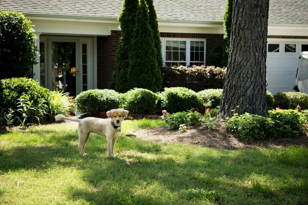 Cypress Glen Retirement Community