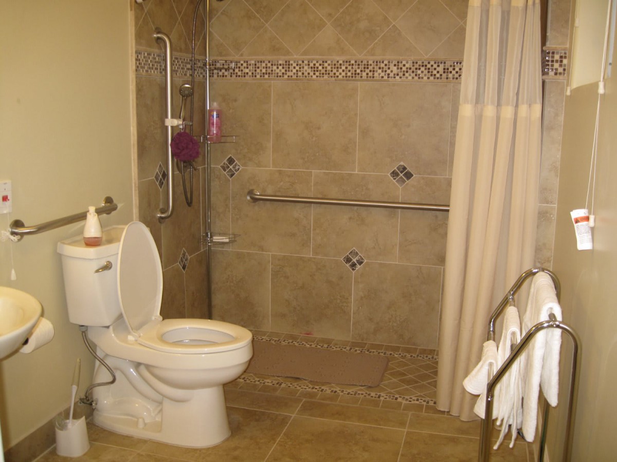 An accessible bathroom with a toilet and a shower featuring handrails.