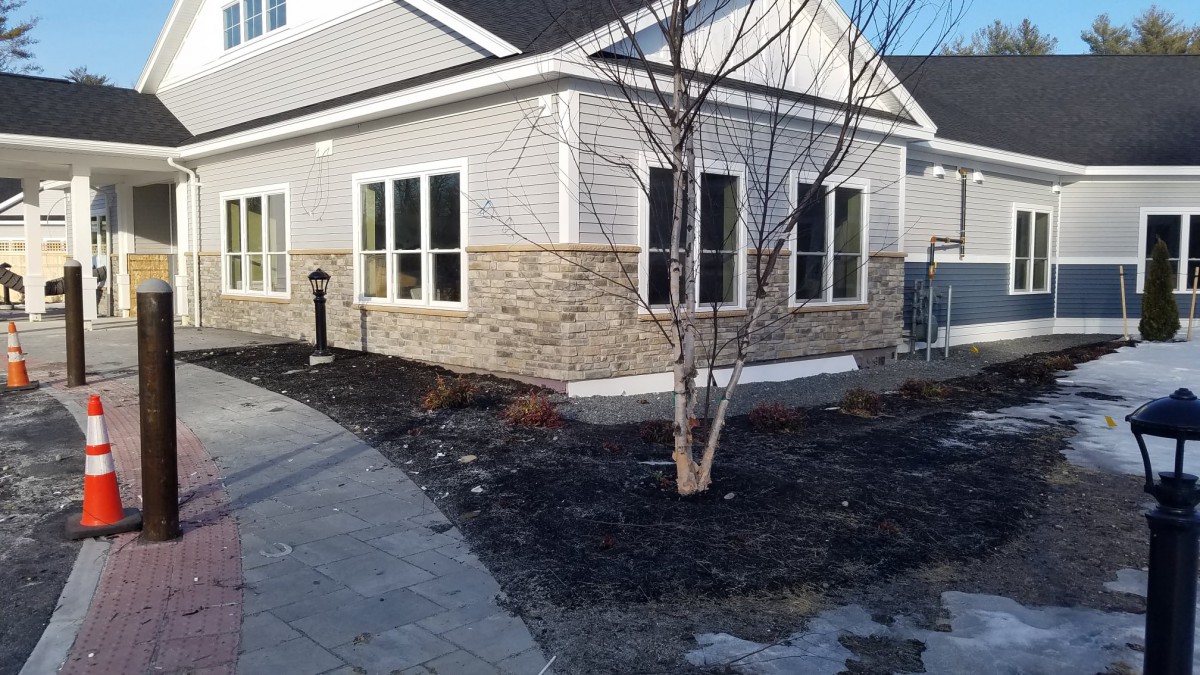 A modern house with a stone facade and newly landscaped yard featuring young trees and a curved sidewalk.