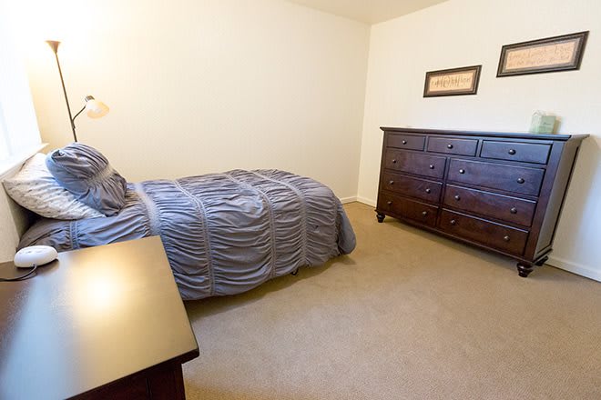 A cozy bedroom featuring a single bed, dresser, and lamp.