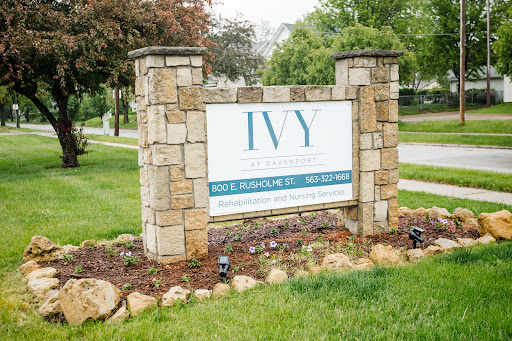 A stone sign for Ivy, surrounded by lush green grass and trees.