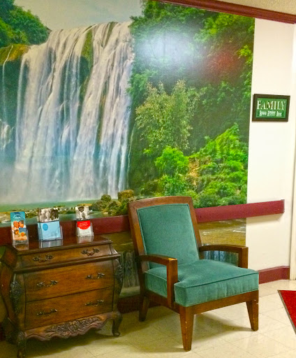 A serene waiting area featuring a nature-inspired mural of a waterfall surrounded by lush greenery.