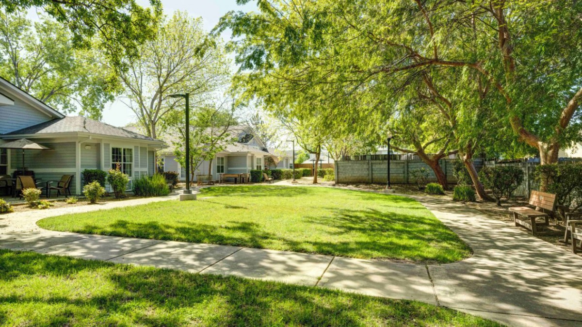 A peaceful courtyard with lush greenery and surrounding buildings.