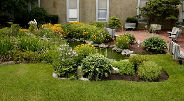 Woodhaven Adult Home