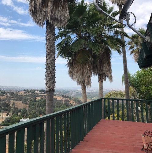 A scenic view from a deck with palm trees overlooking a vast landscape.