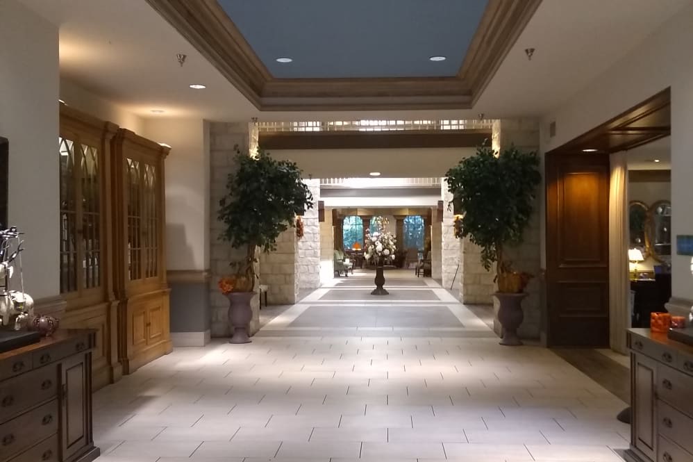 A well-lit hallway with elegant decor and potted plants.