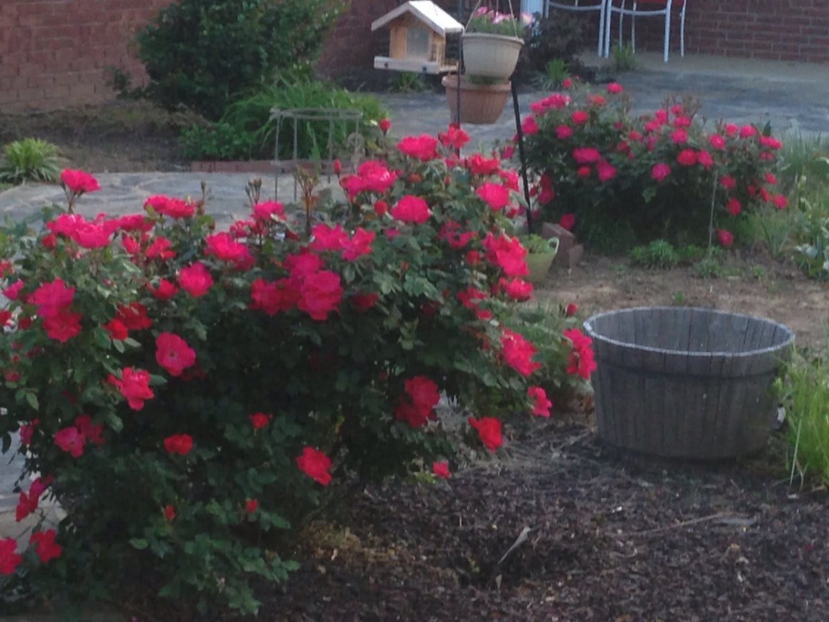 Providence Assisted Living