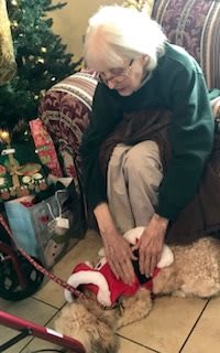 An elderly person enjoys the holiday season with a dog dressed in Christmas attire, surrounded by gifts.