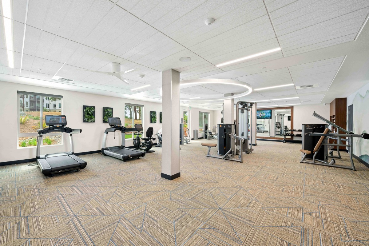 An empty gym with various exercise equipment including treadmills and weight machines.