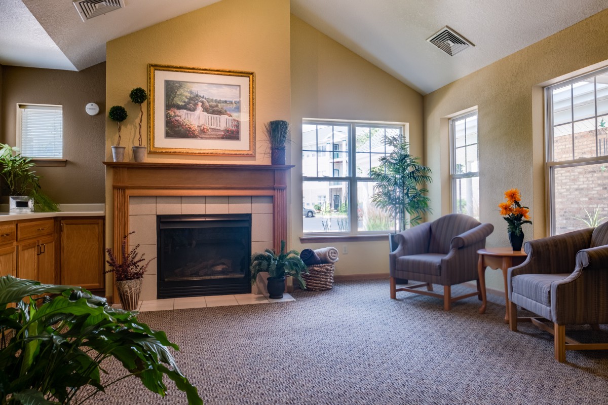 A cozy living room featuring a fireplace and an armchair, with natural light streaming through the windows and indoor plants adding a touch of greenery.