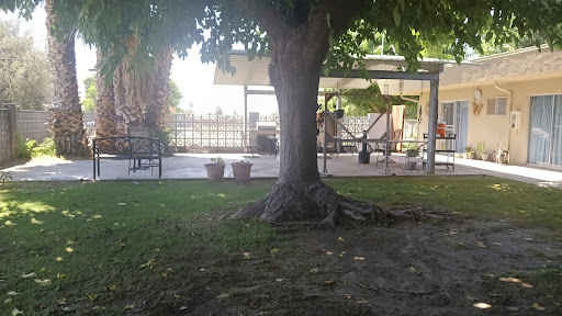 A serene outdoor space featuring a large tree and a patio area.