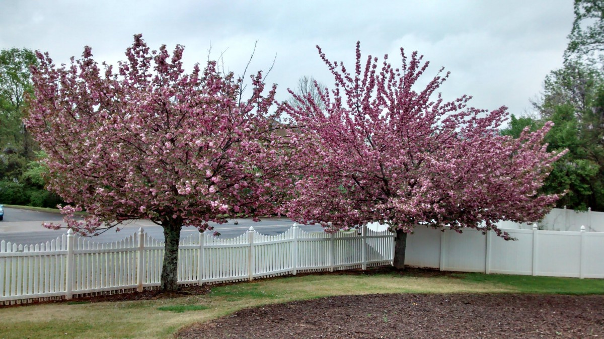Country Gardens Lanier