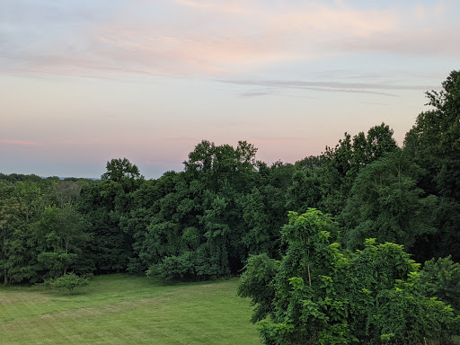 A serene view of lush greenery under a pastel sky at dusk.