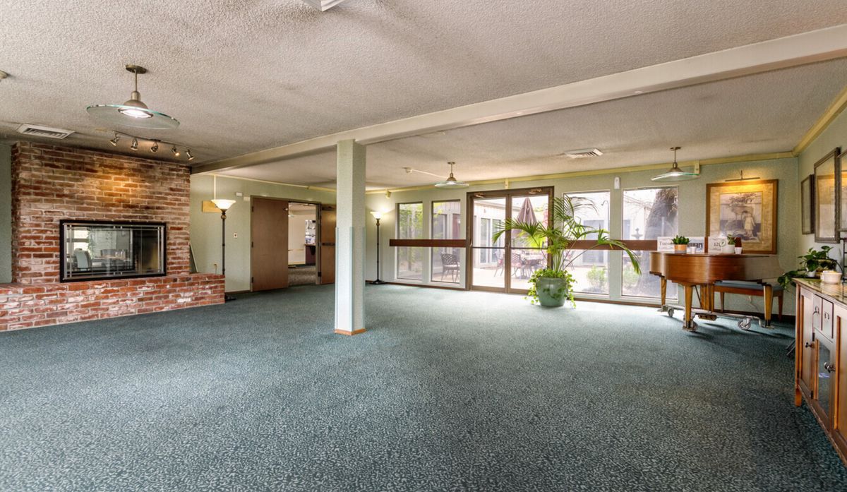A spacious living room with carpeted floors, large windows allowing natural light, and a potted plant in the corner.