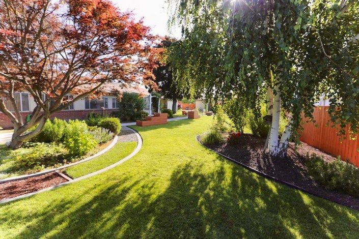 A beautifully landscaped garden with lush green grass and trees basking in sunlight.
