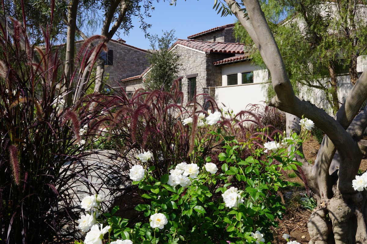 A charming house surrounded by a lush garden with vibrant flowers and trees.
