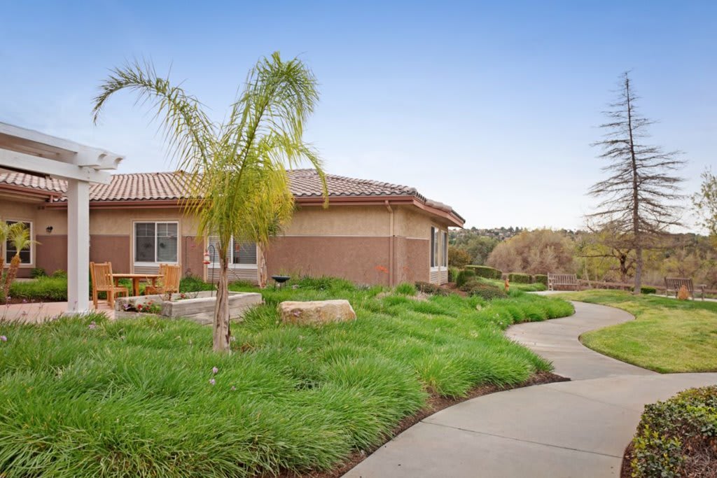 A suburban house with manicured landscaping and a palm tree in the yard.
