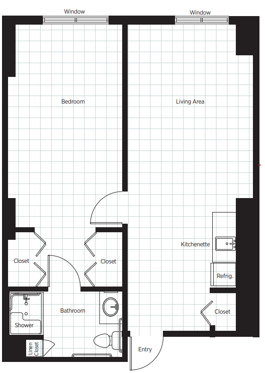 A floor plan of a one-bedroom apartment with a living room, kitchen, bathroom, and closets.
