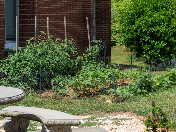 A well-maintained vegetable garden with various plants and a stone bench nearby.