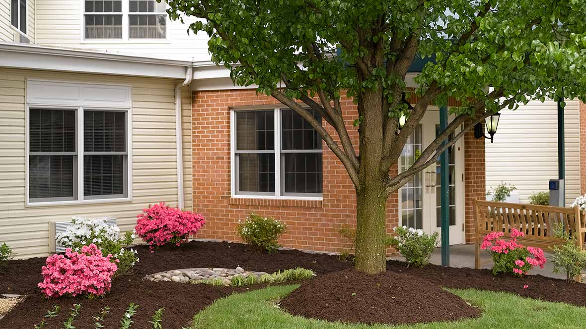 A landscaped garden in front of a brick house with a tree, mulch, and flowering plants.
