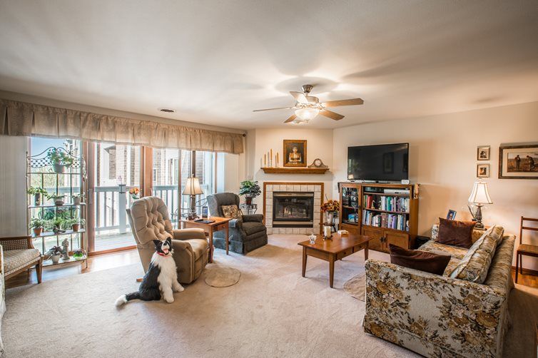 A cozy living room with comfortable seating, a fireplace, and a curious cat.