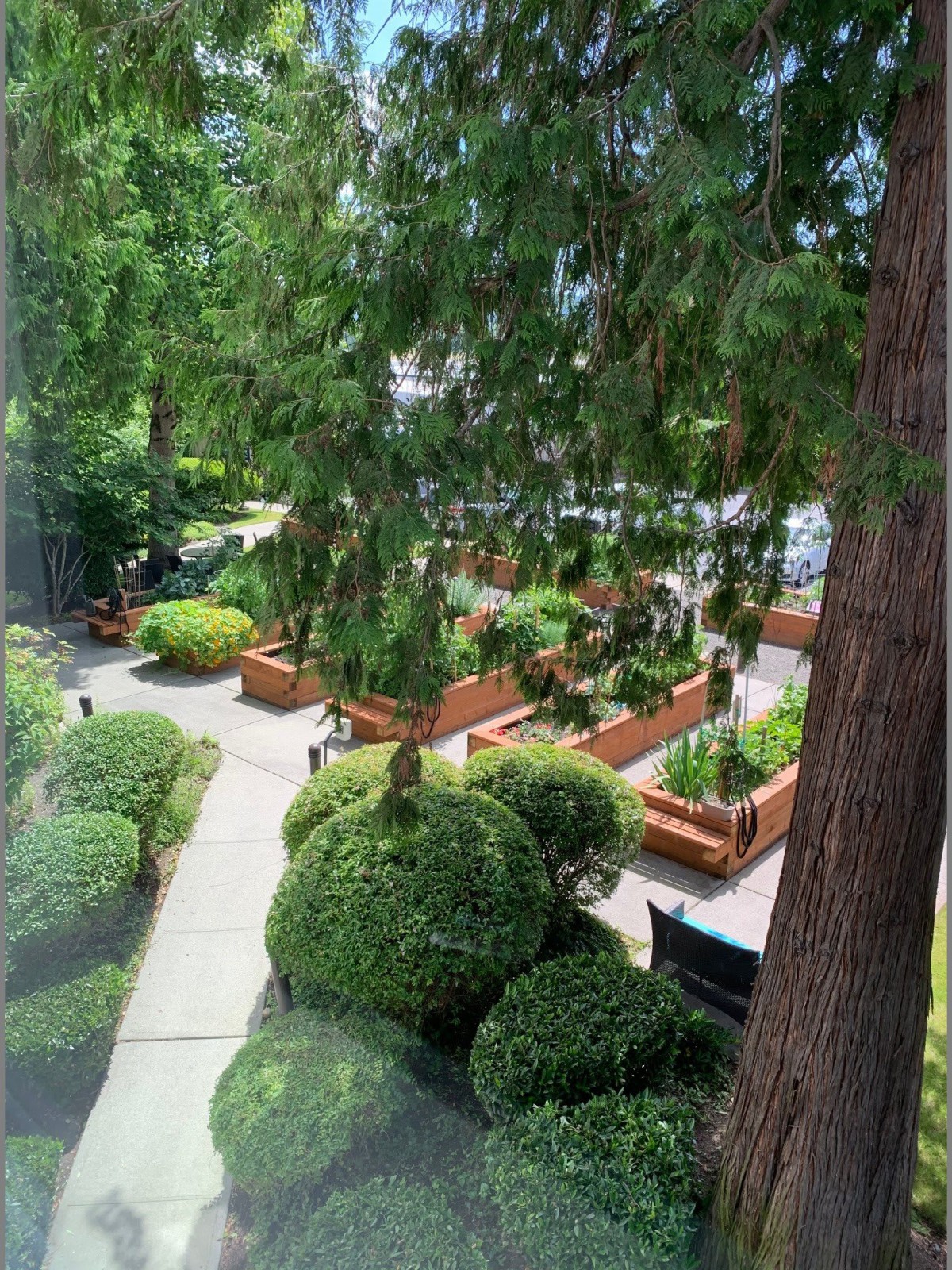 A beautifully landscaped garden with neatly trimmed bushes and trees.