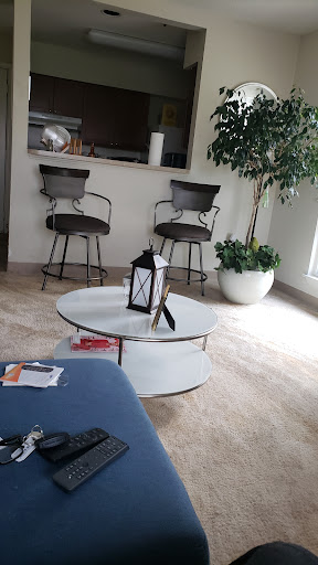 A modern living room setup featuring a stylish coffee table, two bar stools, and an indoor plant.