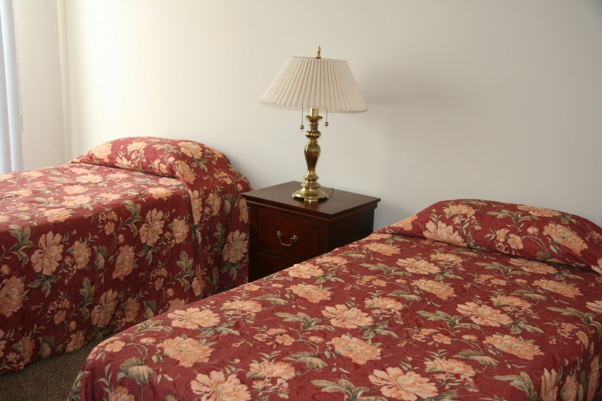 A bedroom with two beds featuring floral bedspreads and a lamp on a nightstand between them.