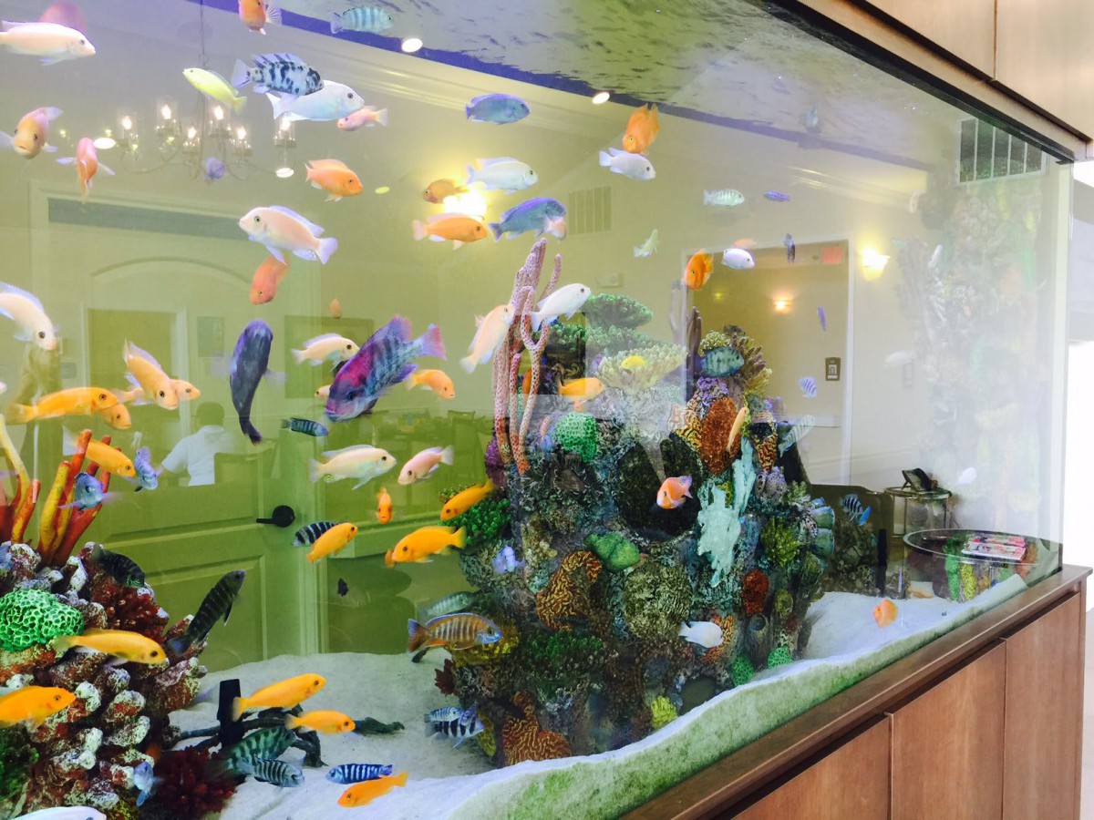 Apex Oaks at Cypress Assisted Living and Memory Care
